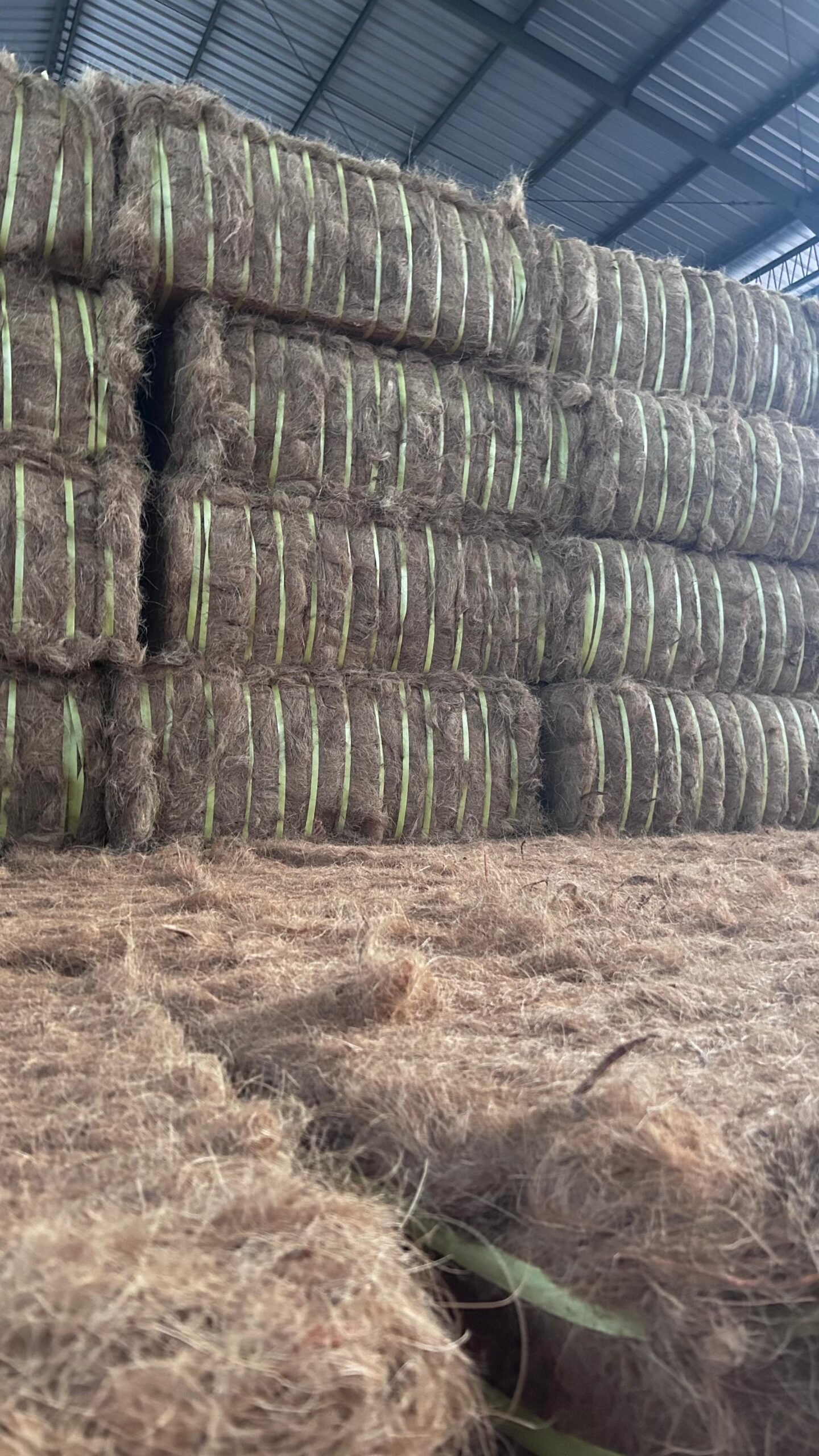 Indonesia Cocopeat Supplier
