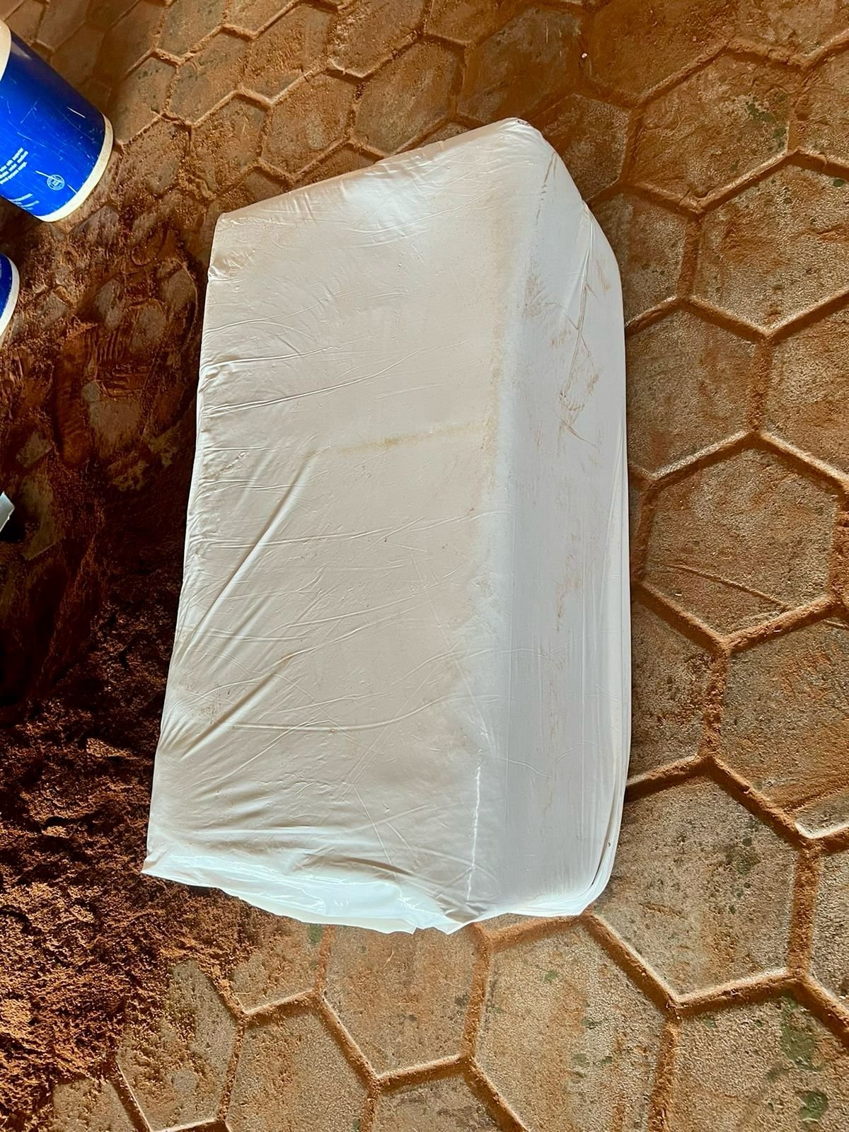 Cocopeat vs Coconut Fiber