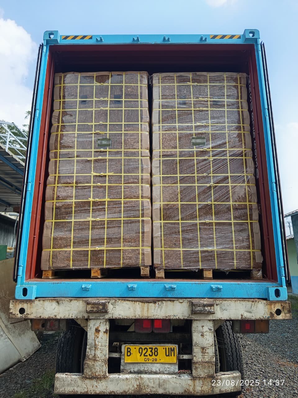 High Quality Cocopeat