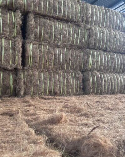 WhatsApp Image 2024-07-03 at 09.43.06