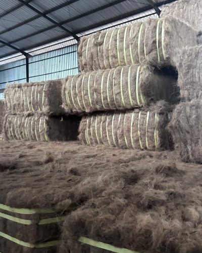 WhatsApp Image 2024-07-03 at 09.43.10