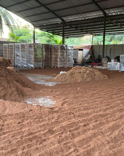 WhatsApp Image 2024-07-03 at 09.53.47