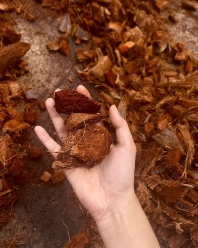 WhatsApp Image 2025-02-28 at 14.51.29_5dfac68a