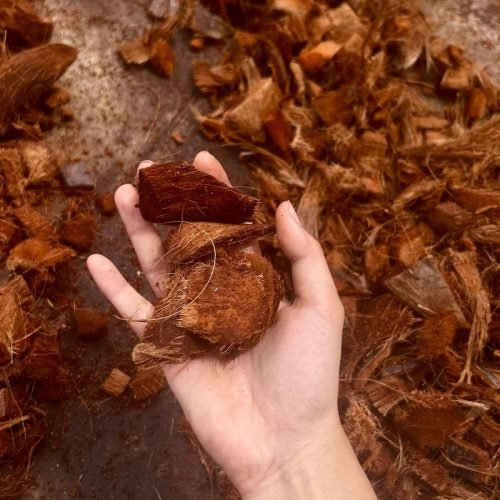 WhatsApp Image 2025-02-28 at 14.51.29_5dfac68a