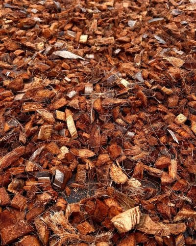 WhatsApp Image 2025-02-28 at 14.51.29_8cc84b05