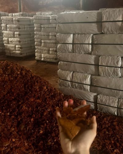 WhatsApp Image 2025-03-03 at 10.51.41