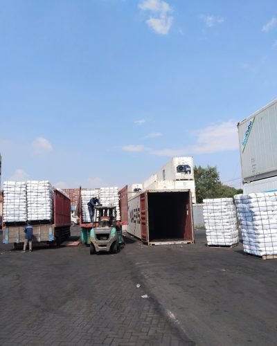 WhatsApp Image 2025-03-03 at 10.51.43-2